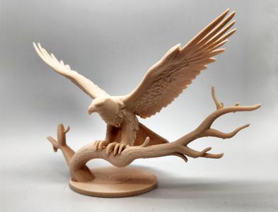 Eagle with Wings Spread