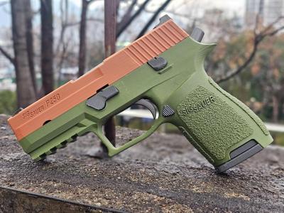 Sig Sauer P250 Toy pistol (No move or launch)