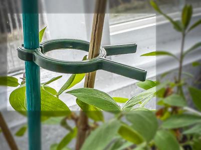 Simple Plant and Flower stake support clip