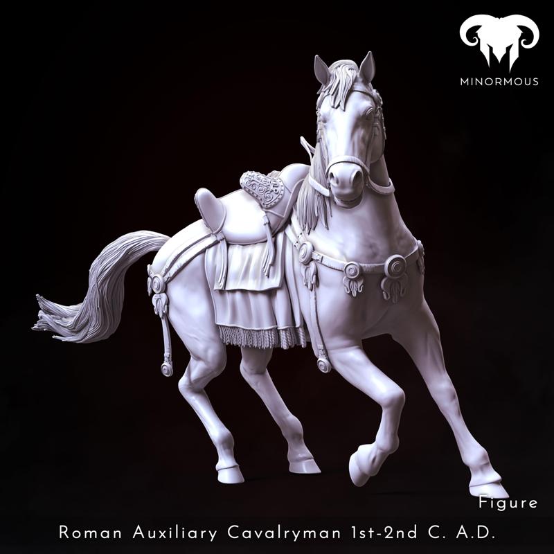 Horse – Roman Auxiliary Cavalryman 1st-2nd C. A.D. Riding with Rome!