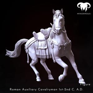 Horse – Roman Auxiliary Cavalryman 1st-2nd C. A.D. Riding with Rome!