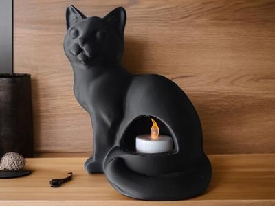 Feline Flame Haven