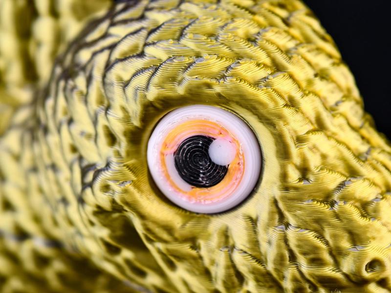Glassy Eyes AMS 12mm