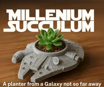 Millennium Succculum   