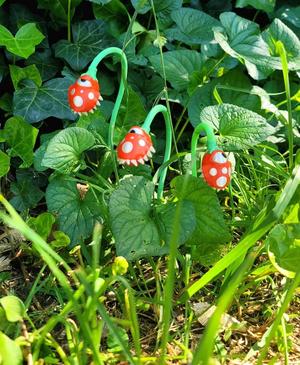Monster Flower Starter Kit