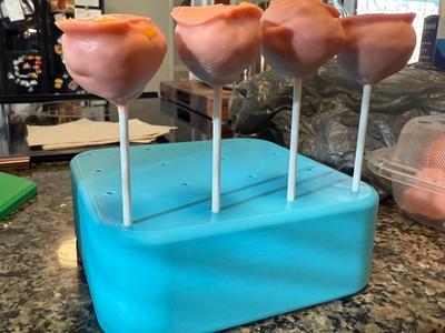 Cake Pop Rack/Holder – Holds 16 Cake Pops!