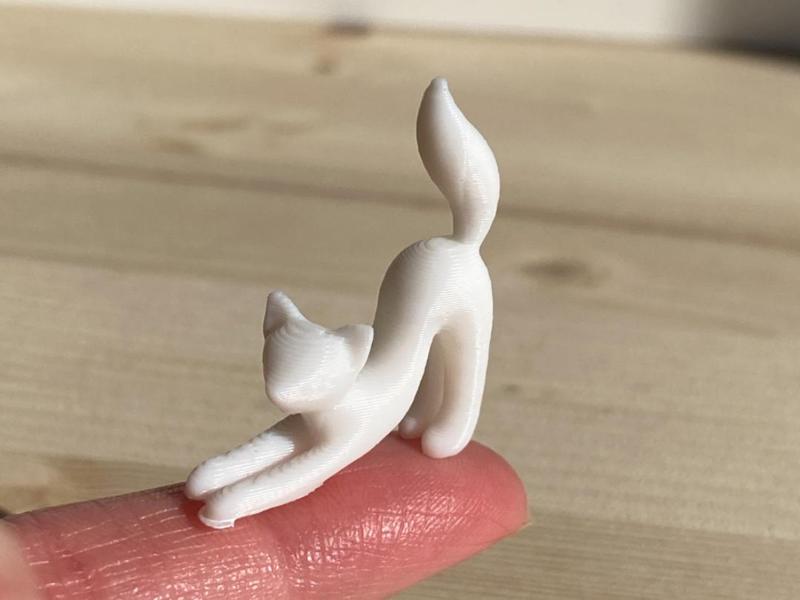 Stretching Cat