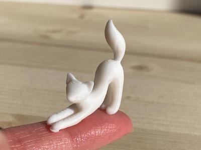 Stretching Cat