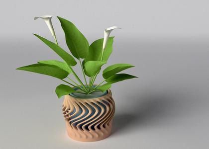 Plant Pot Curvature