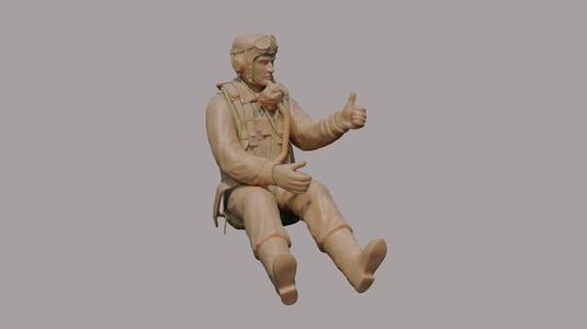 US WWII Fighter Pilot