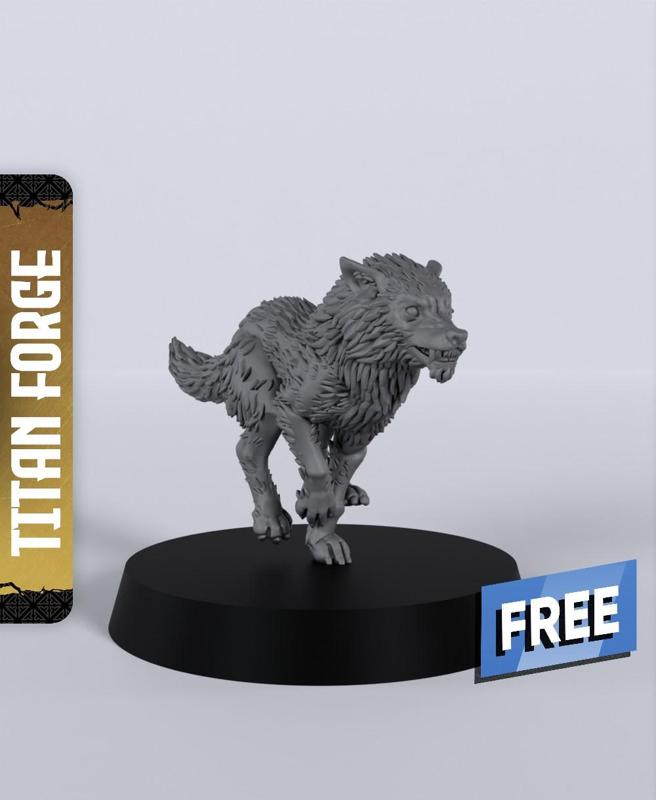 Wolf B – With Free Dragon  – 5e DnD Inspired for RPG and Wargamers