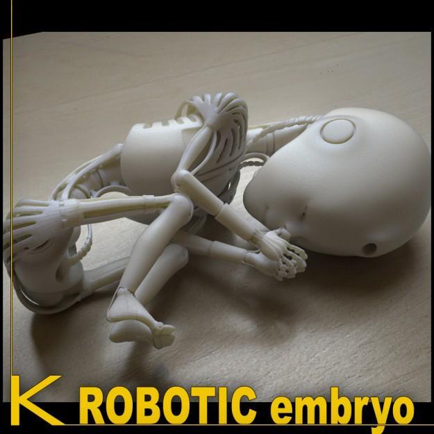 Robot 01 embryo
