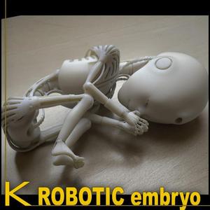 Robot 01 embryo