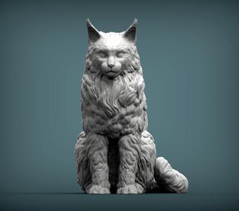 Maine Coon