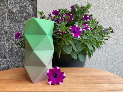 Geometric Vase – Pot and planter for House Plants and Flowers