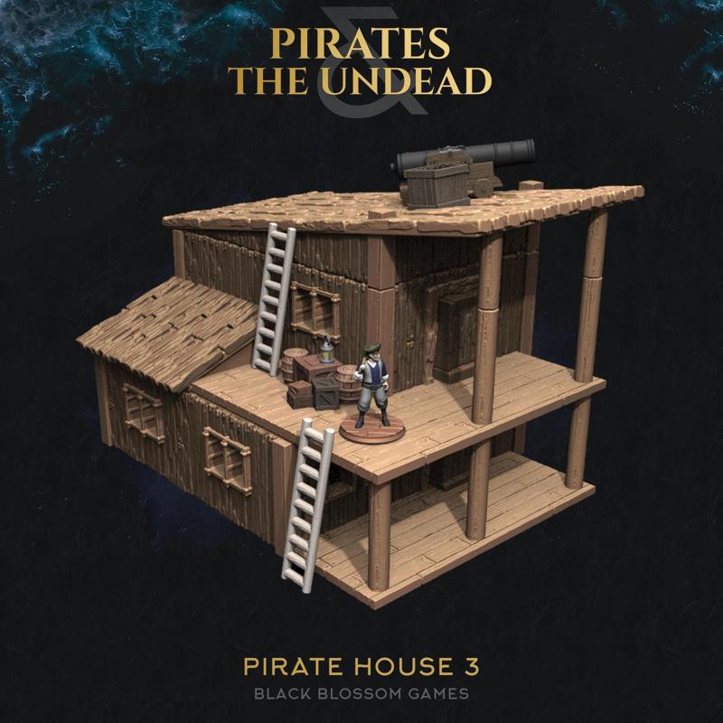 Pirate House 3 :: UMC 02 Pirates vs the Undead :: Black Blossom Games