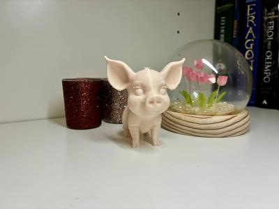Cute Pig