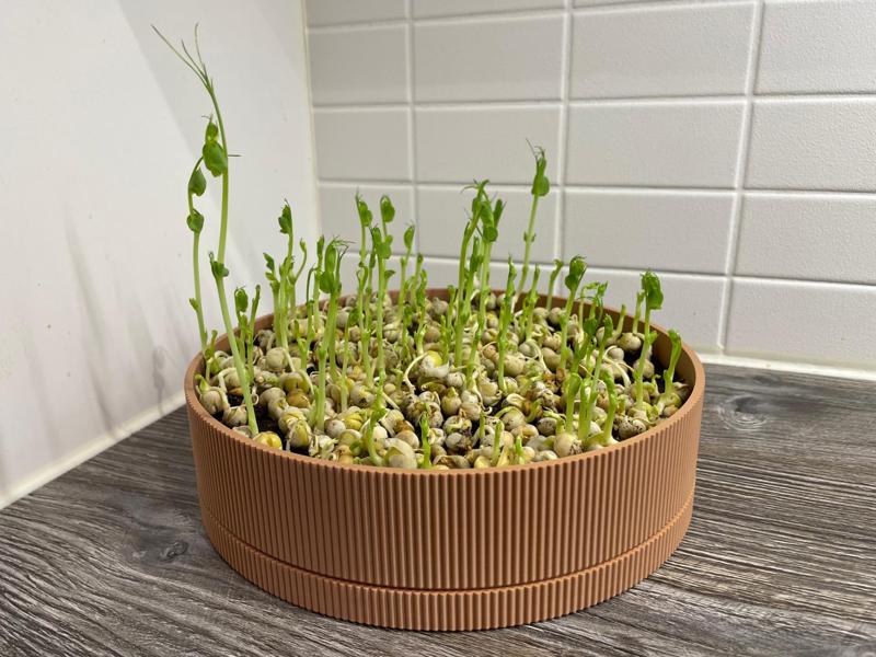 Ribbed Plant Pot With Drip Tray