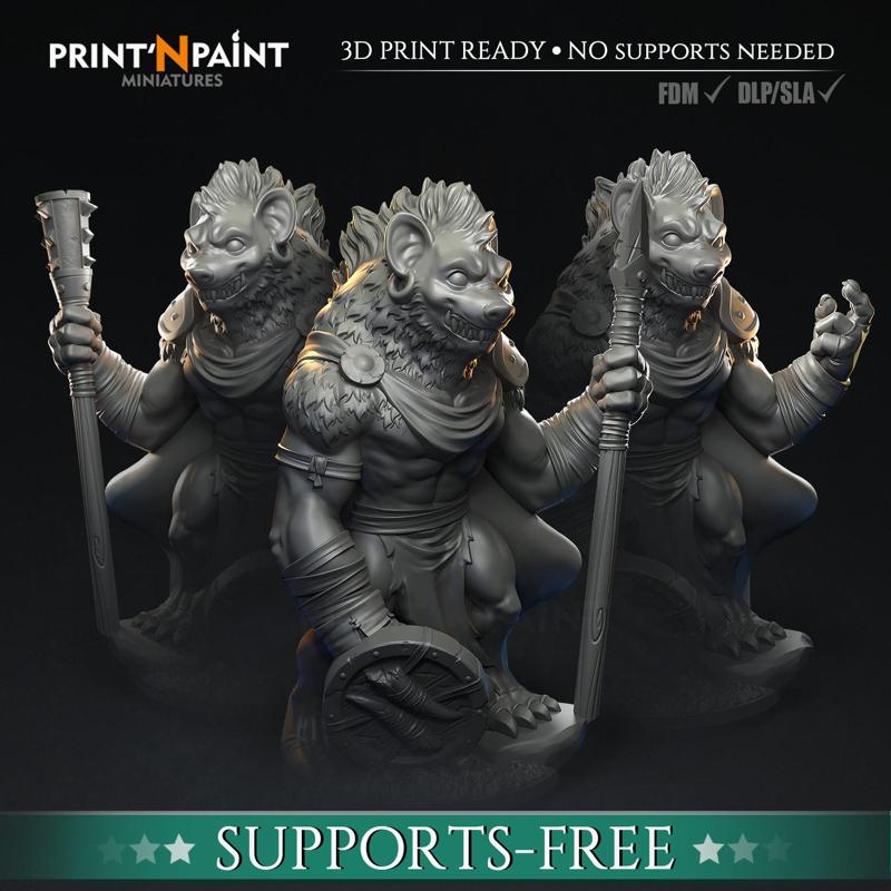 3 Gnoll Warriors