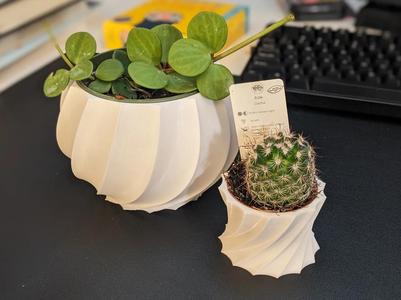 Twisted Plant Pots