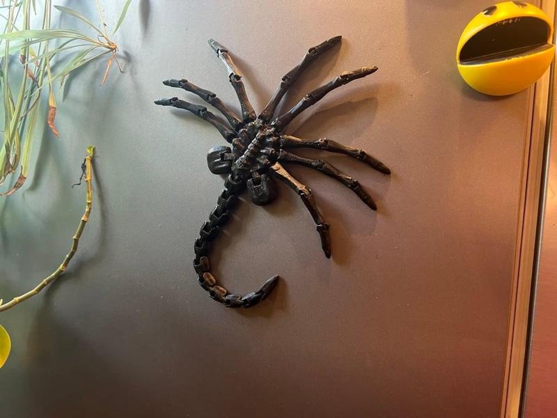 Facehugger-tail with magnet holes (for Semi-posable Facehugger)
