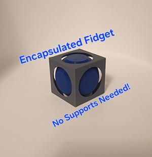 Encapsulated Ball Fidget