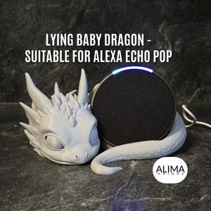 Lying Baby Dragon – suitable for Alexa Echo Pop