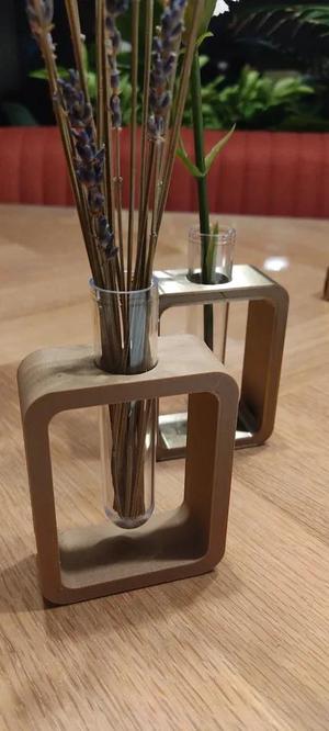 Test Tube Vase