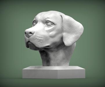 Labrador bust of dog