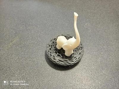 Ring Holder