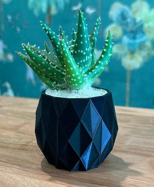 The Pineapple Planter ~  Planter ~ Free!