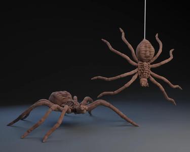 Ghorlectopod : Ghorman : Spider : Andor : Star Wars.   
