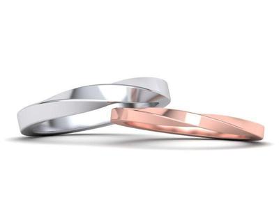 Wedding Set Mobius rings  3dmodels
