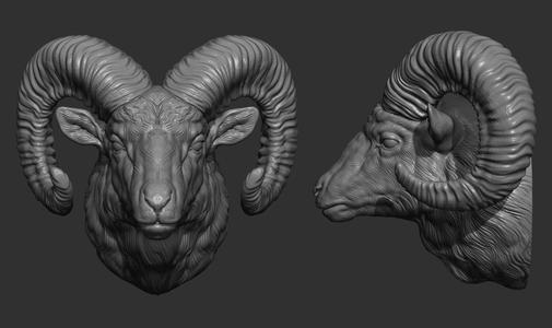 Big Horned Ram head