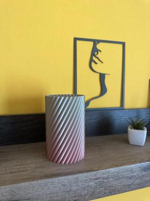 Another vase for spiral vase mode printing