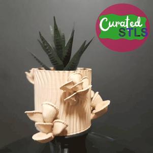 OYSTER MUSHROOMS ON LOG PLANTER – WITH OR WITHOUT DRAINAGE – OPTIONAL CONTAINER LID