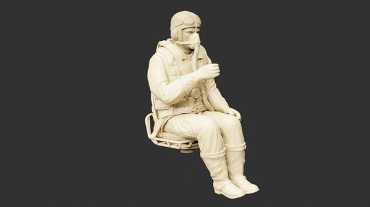 German WWII Stuka Gunner