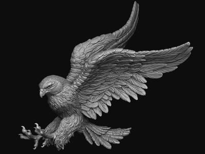 Hawk hunting