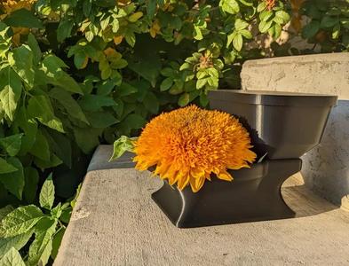 Vase Mode Toilet Vase
