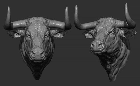 Bull head