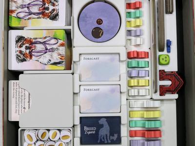 Dog Park + New Tricks Board Game - Single Box
