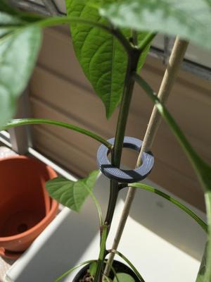 Plant support / guide