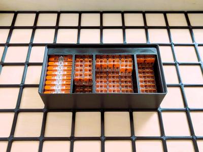 Gridfinity Wago Clamp Box   