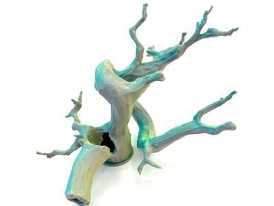 Climbing Tree Hideout
