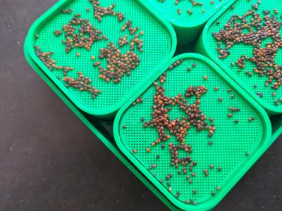 Microgreens Mesh Inlay