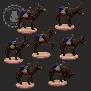 Donkey Set (with/without pack)