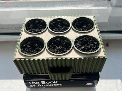 Automatic Seed Starter