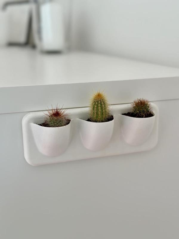 Cactus wall planter / 3.5 cm diameter (1.77 inches) mini cactus