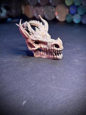 Dragon’s skull