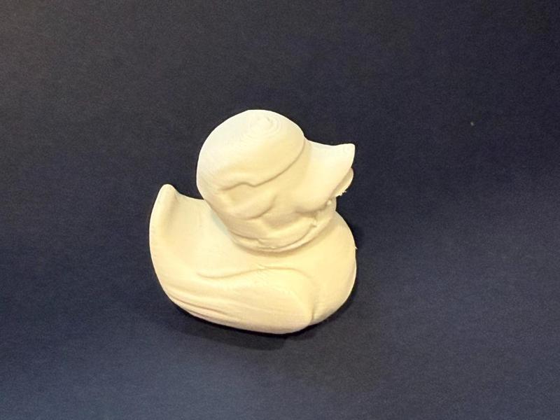stormtrooper duck